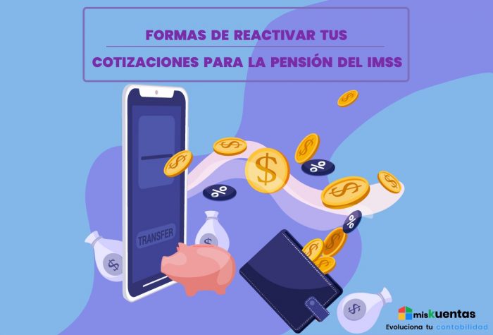 FORMAS DE REACTIVAR TUS COTIZACIONES PARA LA PENSIÓN DEL IMSS ...